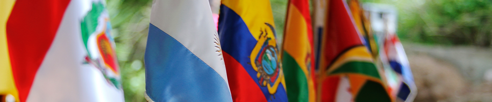 Latin American Flags